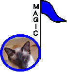 wpe1B.jpg (4067 bytes)